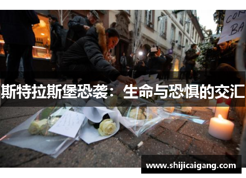 斯特拉斯堡恐袭：生命与恐惧的交汇